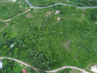 Dense natural vegetation covering vacant land in Santa Rita district Coclé
