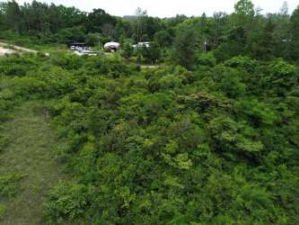 Aerial overview of entire land lot surrounded by greenery in Coclé Panama