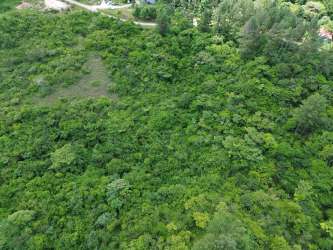 Dense green wooded area on Santa Rita lot for sale in Antón Panama