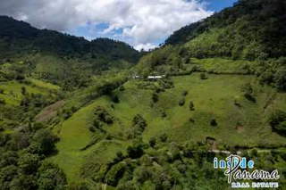 Land with house and teak forest for Sale in Jaramillo / Volcán - 3 bedrooms