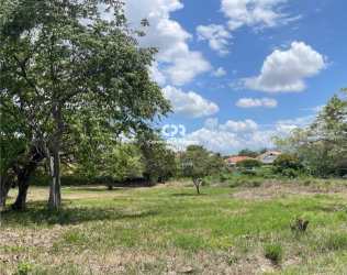 Spacious grass lots with trees minutes from Coronado beach access