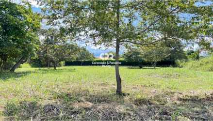 Open flat plot with scattered trees ideal for beach home Bahia Serena Panama