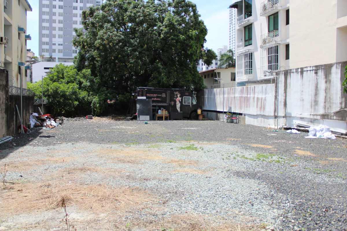 Vacant level lot with large shade tree surrounded by buildings in San Francisco Panama
