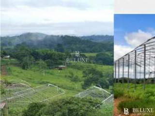 Property for rent in Panama City - 6 bedrooms