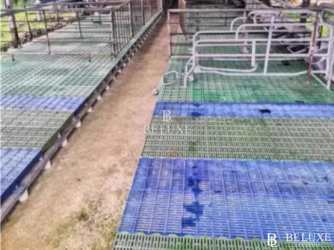 500,000 m² Cattle Farm for Sale El Espino La Chorrera - View 4