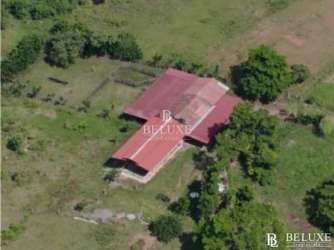 500,000 m² Cattle Farm for Sale El Espino La Chorrera - View 2