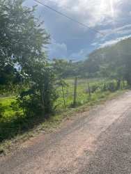 Large level plot 10,770 sqm with utilities road access in Central Aguadulce Panama