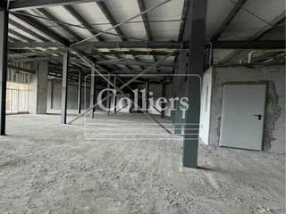 Commercial Space for Rent in Pedregal - 0 bedrooms