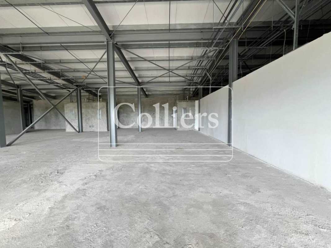 Grey shell raw interior commercial space for lease Plaza Villalobos Pedregal Panama