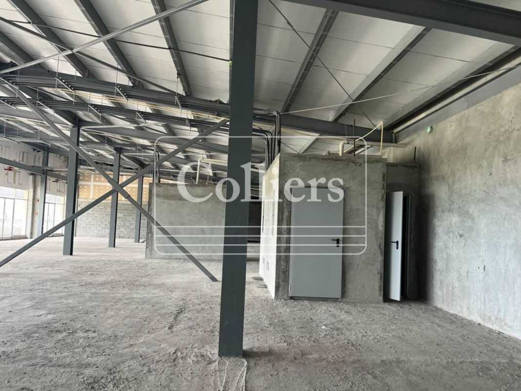 Open spacious commercial shell with steel beams, concrete floors Plaza Villalobos Pedregal Panama