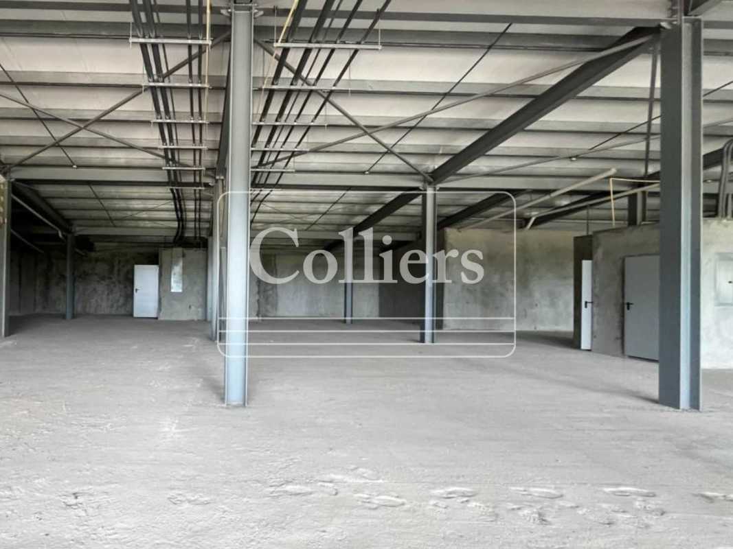Commercial Space for Rent Plaza Villalobos Pedregal