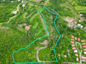 Vacant wooded land ready for development Penonomé Coclé Panama