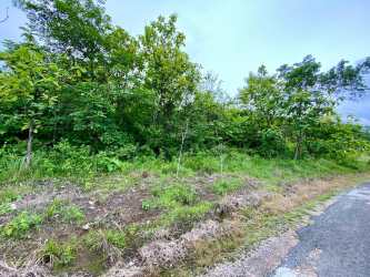 Dense greenery vacant farm acreage Penonomé Coclé for investment