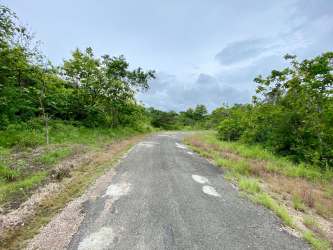 Private access paved road with natural lush vegetation Penonomé Coclé Panama land for sale