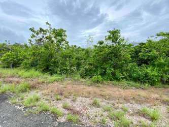 Open natural landscape with dense greenery near Pan-American Penonomé Coclé