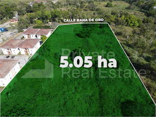 Land for Sale in Pedregal - 0 bedrooms