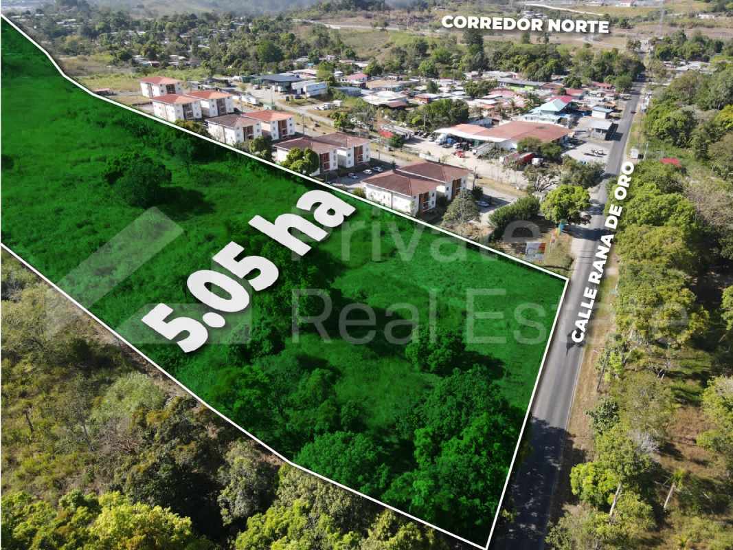 Aerial satellite image 5.05-hectare developable land near Tocumen Airport and metro Pedregal