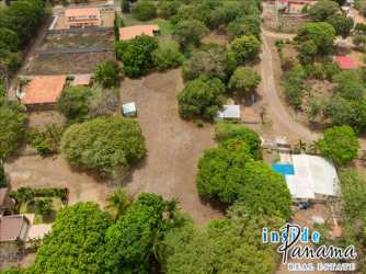 Aerial view of spacious vacant lot with trees and neighboring homes in Nueva Gorgona Panama