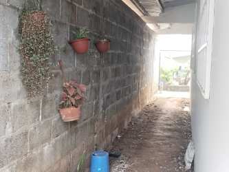 Narrow alley with hanging plants beside affordable house in La Chorrera, Panama