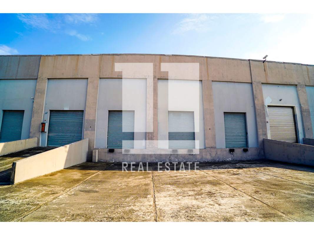 Large industrial warehouse with heavy-duty rolling metal doors for truck and container access Pedregal Panama