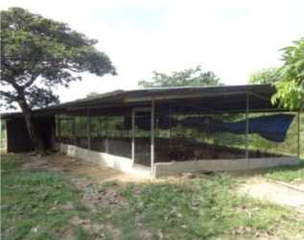 Farm Land with House for Sale in Pajonal - 2 bedrooms