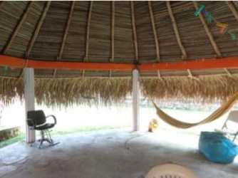 Traditional bohio palapa with thatched roof at farm in Pajonal Penonomé Panama