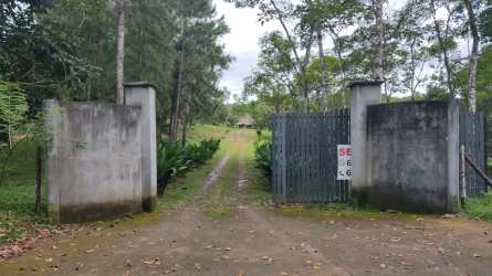 Overhead photo showing expansive 16.8 hectare farmland Pajonal Penonomé Panama