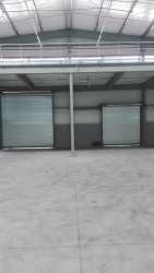 Spacious empty industrial warehouse with tall ceilings and large rolling shutter doors for rent in David