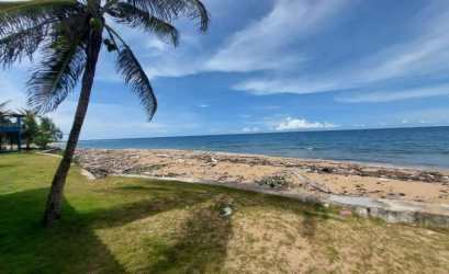 Palm-lined sandy beach fronting Caribbean Sea steps away from Palenque beach property Panama