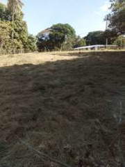 Land / Lot for Sale in Nueva Gorgona - 0 bedrooms