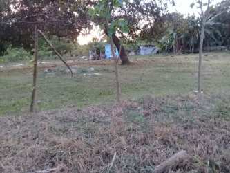 Vacant grassy plot with scattered trees, simple fencing and small background structures in Las Lajas Coronado Panama