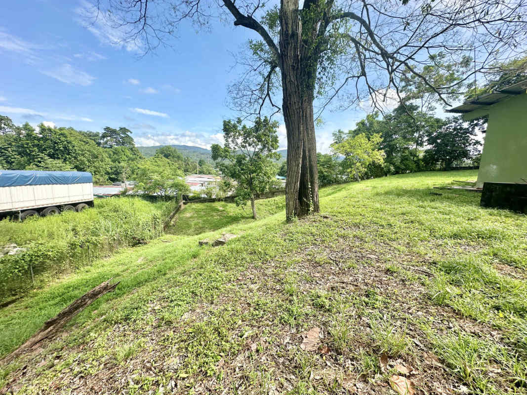 Vacant 3,874m2 Commercial Lot on Avenida José Agustín Arango Panama