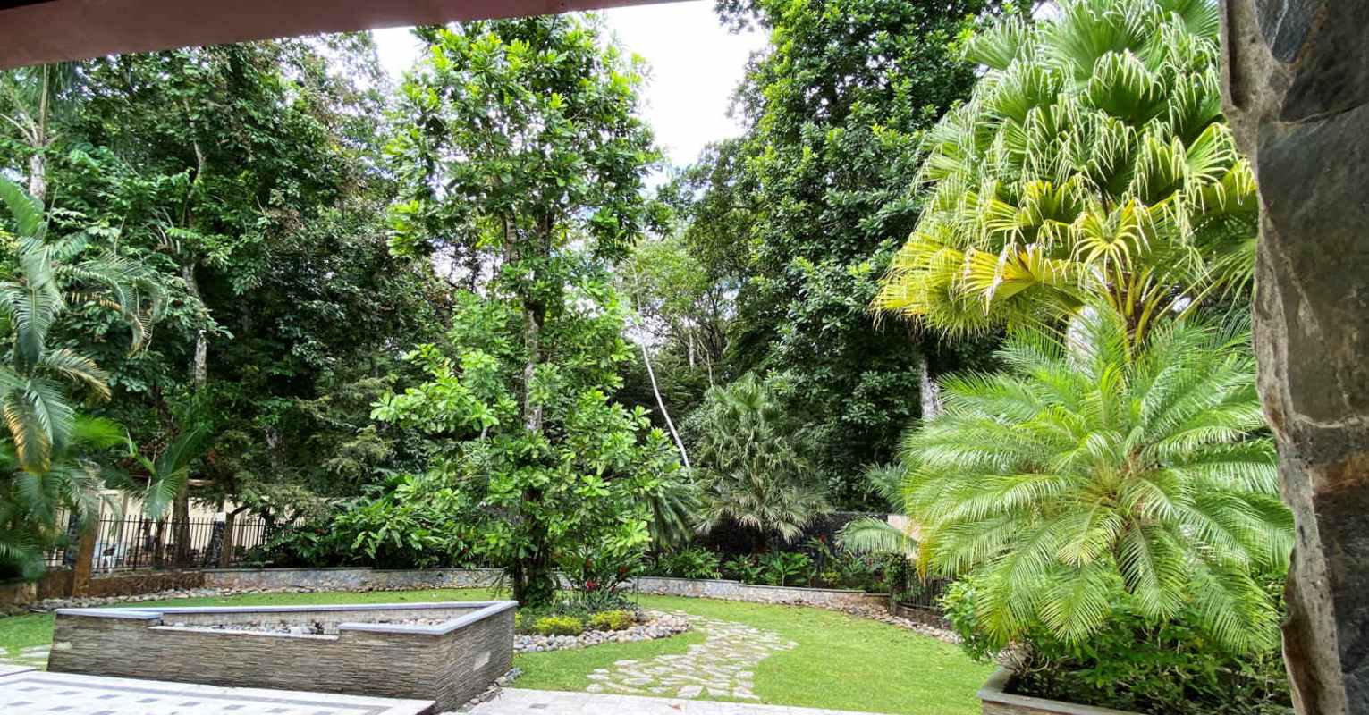 Private tropical garden with lush plantings and stone borders Camino de Cruces Panama