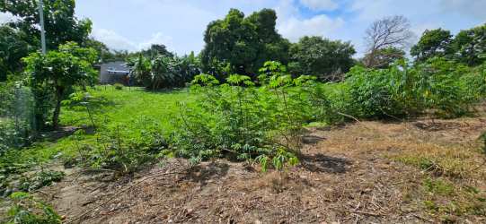Spacious development land with lush greenery and rustic fencing El Espavecito Chame