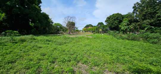 Vacant grassy terrain with mature shrubs ideal for home site Cabuya Chame area