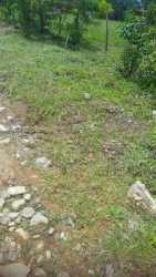3,750m2 plot with mountain landscape views Alto Boquete Panama