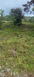 Titled countryside land with mountain views Boquete Chiriquí Panama