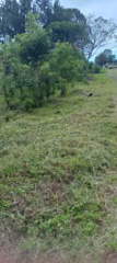 Land for Sale in Las Trancas - Alto Boquete - 0 bedrooms