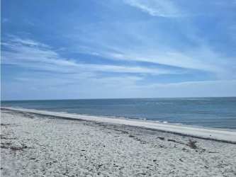 Beachfront Land 55,120 m² in El Higo San Carlos Panama
