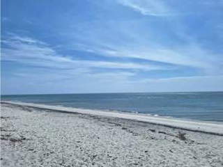 Land for Sale in San Carlos - 0 bedrooms