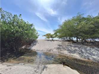 Creek flowing through lush vegetation near the beachfront property in San Carlos