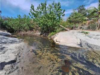 Small rocks and forest vegetation along natural creek inside 55,000 m² plot Panama