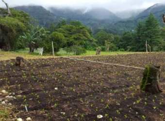 Mountain View 1250m2 Land for Sale in Alto Lino Boquete