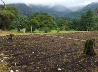 Land for Sale in Jaramillo - 0 bedrooms