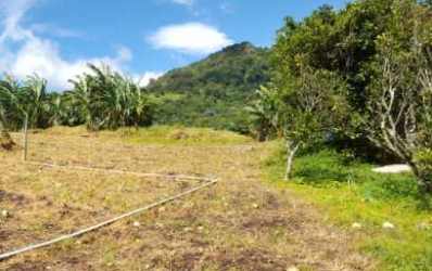 Private farmland property surrounded by nature and trees in Boquete Panama