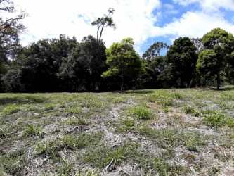 Cleared residential lot with trees and mountain views in Boquete Panama