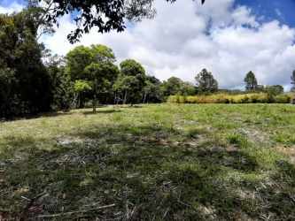 Open grassy field lined with trees under blue sky Volcancito Panama property