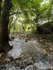 Land for Sale in Panama City - 0 bedrooms