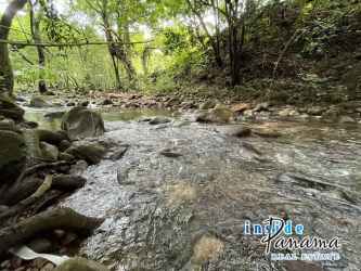 Aerial photo of large flat lot with dense trees and clearing Caldera Boquete Panama