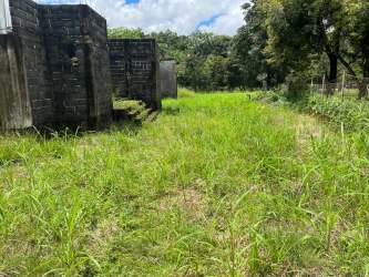 Concrete buildings amidst grassy area and trees on land for sale in Dolega